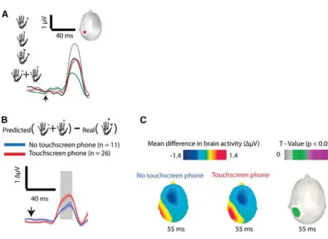 Figure 4. Sensory Integration from Thumb and Index Fingertips in Touchscreen Users and Nonusers