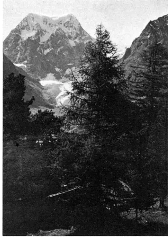 table  parc  naturel,  Arolla  est  réputé  pour  sa  flore  alpine  et  sa  faune  variée,  qui  com prend  entre  autres  des  mar­