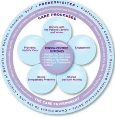 Figure 1: Cadre de développement du SCP : Tiré de McCance et al., 2011.  