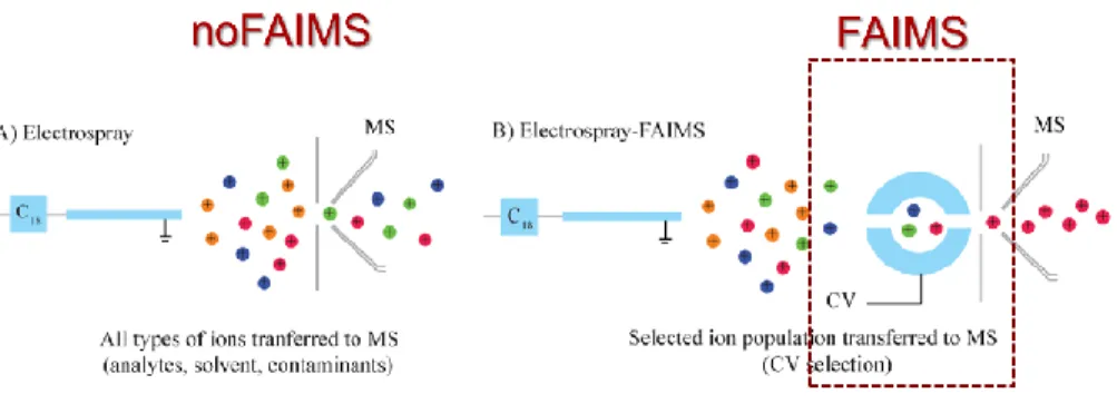 Figure 15: Overview of the basic differences between LC-MS and LC-FAIMS-MS. With LC-MS ions pass directly  after  ionization  in  the  mass  spectrometer