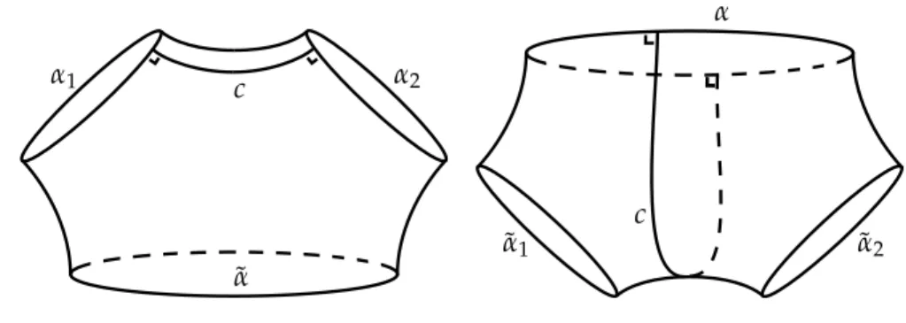 Figure 2: The two topological types for path c