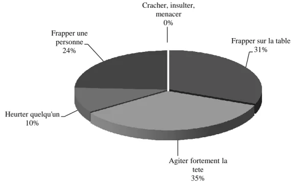 Tableau 7 : Répartition des comportements-défis de Robert.