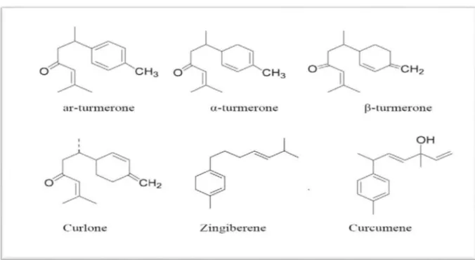 Figure 07 : Structure chimique des principaux constituants de l’huile essentielle de Curcuma  (Dohare et al., 2008)