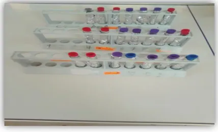 Figure 23 : Matériel de dosage des polyphénols totaux (Photo personnelle, 2019) 