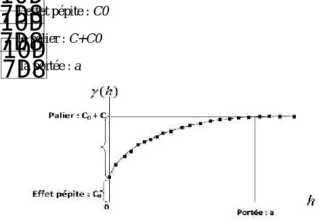Figure 1 : Paramètres du semi- variogramme