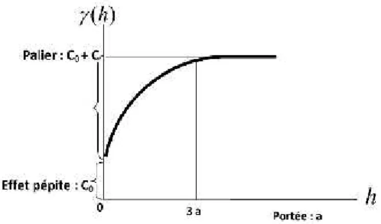 Figure 5 : Modèle Gaussien I.3 . 3. L’anisotropie :