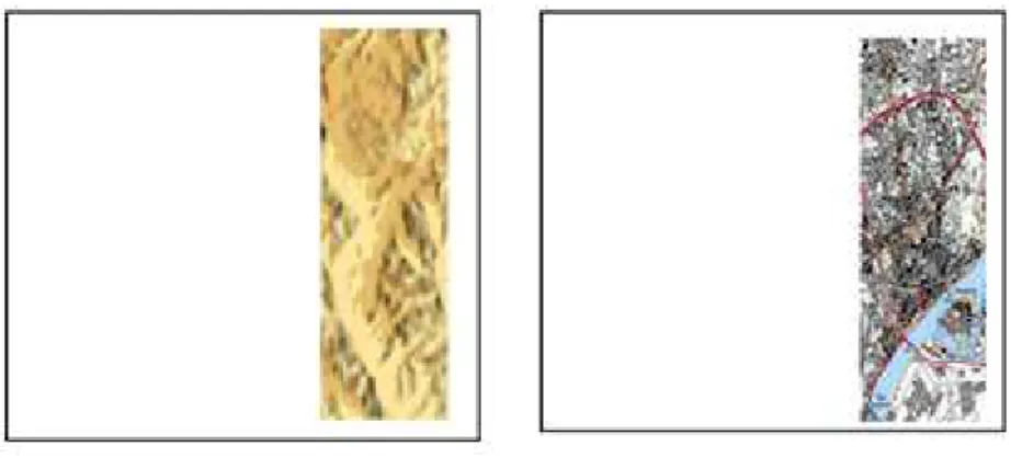 Figure 10 : Type de données vecteurs (Guillaume, 2012).