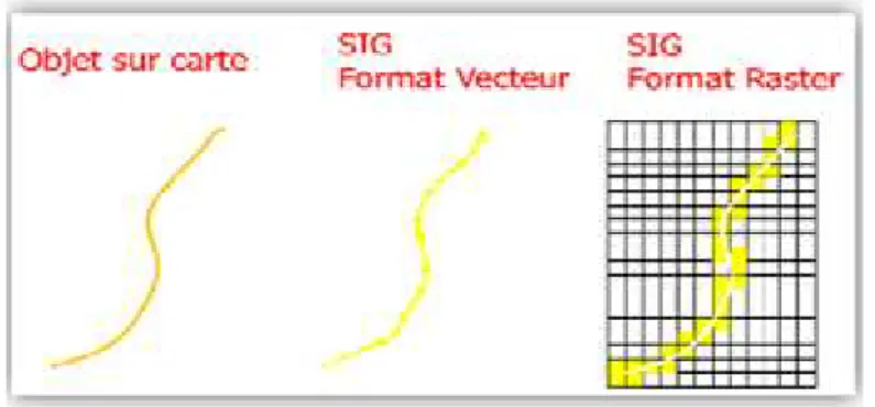 Figure 11 : Les types de données vecteurs (Habert, 2000).