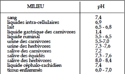 Tableau III 