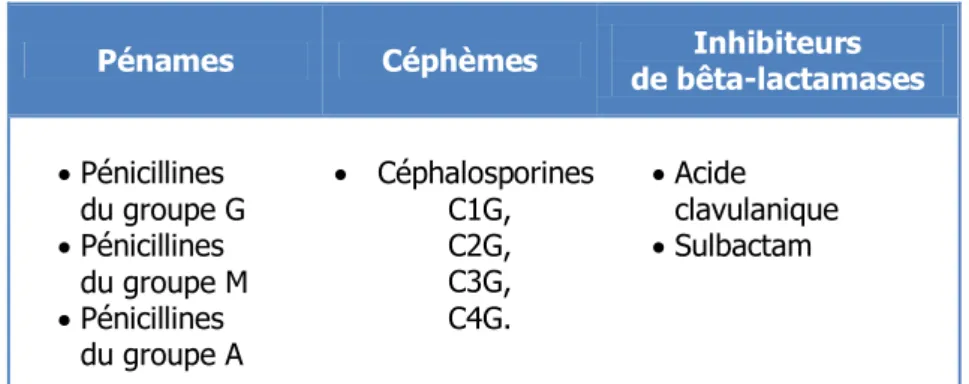 Figure 2 : Le noyau bêta-lactame [52]. 