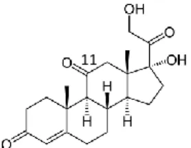 Figure 4 : Structure de la cortisone [19]. 