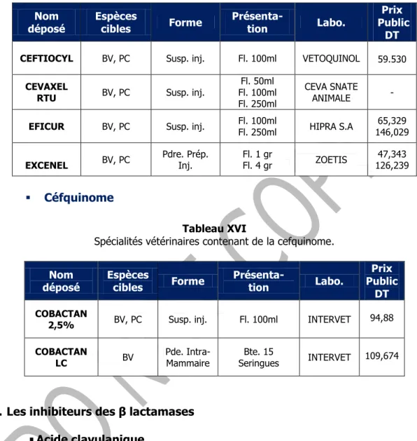 Tableau XV 