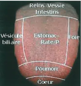 Fig. 2 Langue géographique et fissurée.