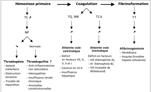 Fig. 3 Exploration de l’hémostase.