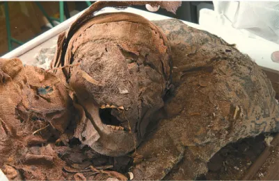Fig. 1 La tête de la défunte de Grenoble (Cl. musée de Grenoble).