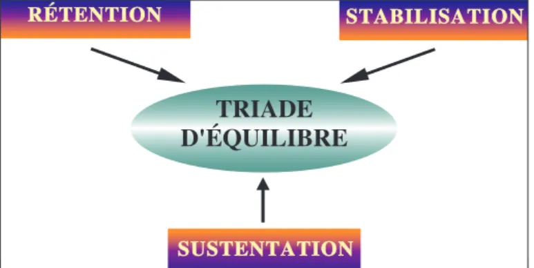 Fig. 1 Triade d’équilibre prothétique.