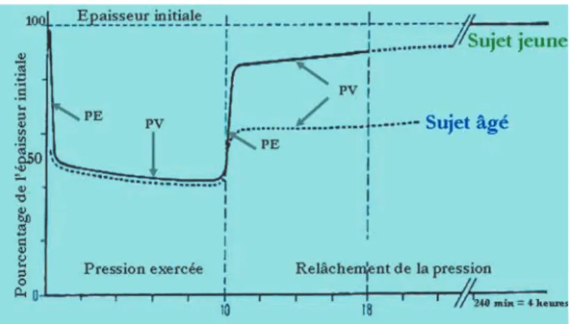 Fig. 2 Diagramme de visco-élasticité de la muqueuse d’après Dally, Kidd et Wheller[3].