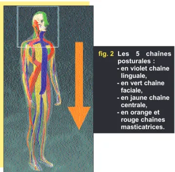 fig. 1 Tête équilibrée dans l’es- l’es-pace par rapport à un  sys-tème référentiel  orthogo-nal.