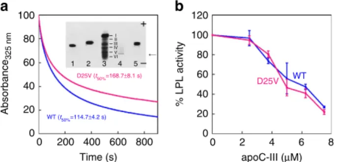 Figure 7 | Functional properties of wild-type and D25V apoC-III in vitro.