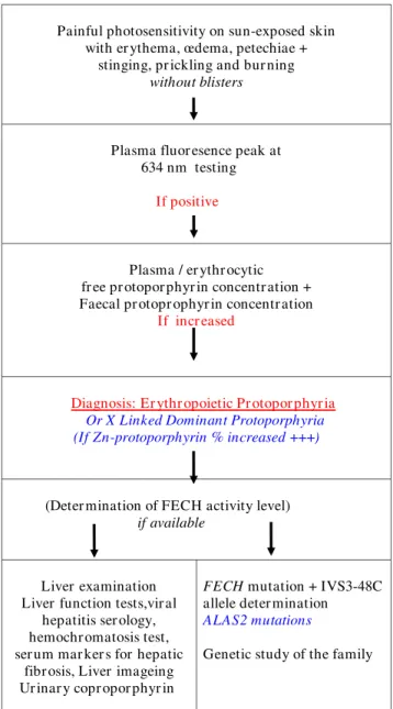 Figure 6 EPP diagnosis.