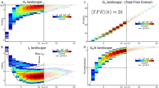Figure 4. I k , H k and G k (Total Free Energy, TFE) landscapes. (a) entropy H k and (b) mutual-information I k (free energy components) landscapes (same representation as Figure 3, k u = 11, p value 0.05); (c) G k landscape (total correlation or multi-inf