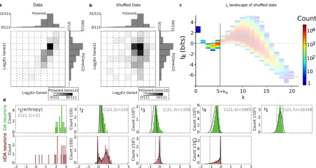Figure 8. Probability and Information landscape of shuffled data. The figure corresponds to the case of analysis with genes as variables
