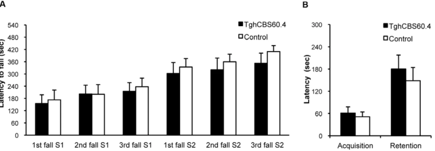Figure 6. Behavioral assessments in Tg hCBS 60.4 mice. The analysis was conducted on 8 TghCBS60.4 and 8 control mice