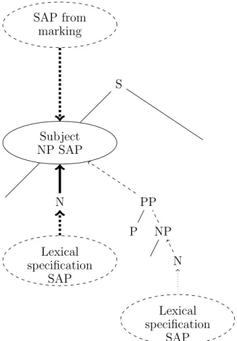 Figure 2.3 – Sources of singular and plural (SAP) accumulating at root of subject NP in basic marking and morphing model