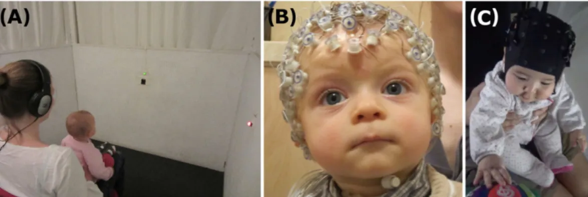 Fig. 1. Methods most commonly used in infant artificial grammar learning (AGL) studies