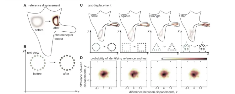 FIGURE 3 | The notion of sensible rigid displacements. Seemingly different changes in sensory input will be associated if they correspond to the same displacement in real physical space