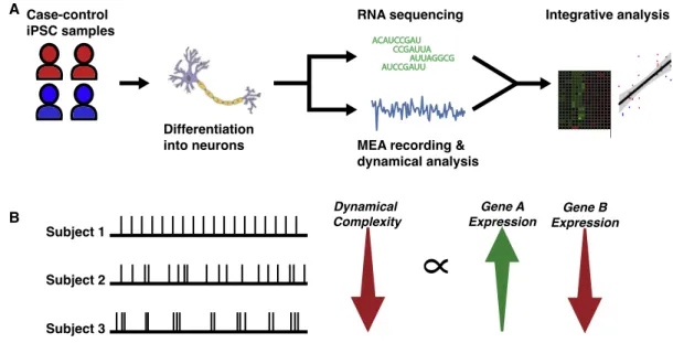 Figure 1. Study Design and Visualizing Dynamical Complexity