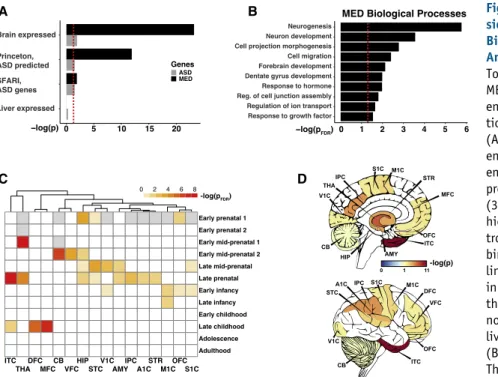 Figure 4. Enrichment of MED Gene Expres- Expres-sion Signature with ASD-Related Genes, Biological Pathways, and Spatiotemporal Analysis