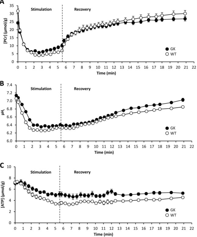 Fig 3. Time-dependent changes in gastrocnemius muscle [PCr] (A), intracellular pH (B) and [ATP] (C) during 6 min of in vivo electrostimulation and 15 min of post-electrostimulation recovery periods