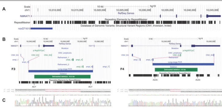 Figure 3. Molecular characterization of two distinct heterozygous NMNAT1 deletions. A: Overview of the NMNAT1 genomic locus, which is scattered with Alu repeats