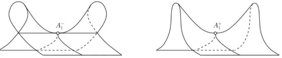 Figure 1: Double Whitney Umbrellas.