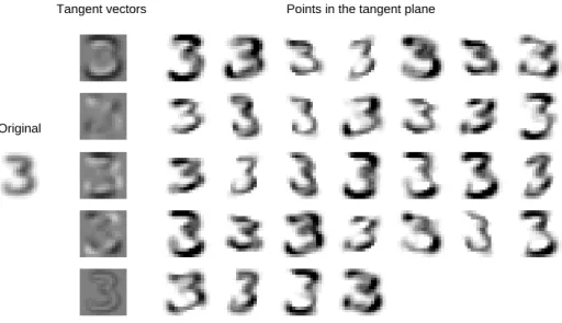 Fig. 6. Left: Original image. Middle: 5 tangent vectors corresponding respectively to the 5 transformations: scaling, rotation, expansion of the X axis while compressing the Y axis, expansion of the rst diagonal while compressing the second diagonal and th