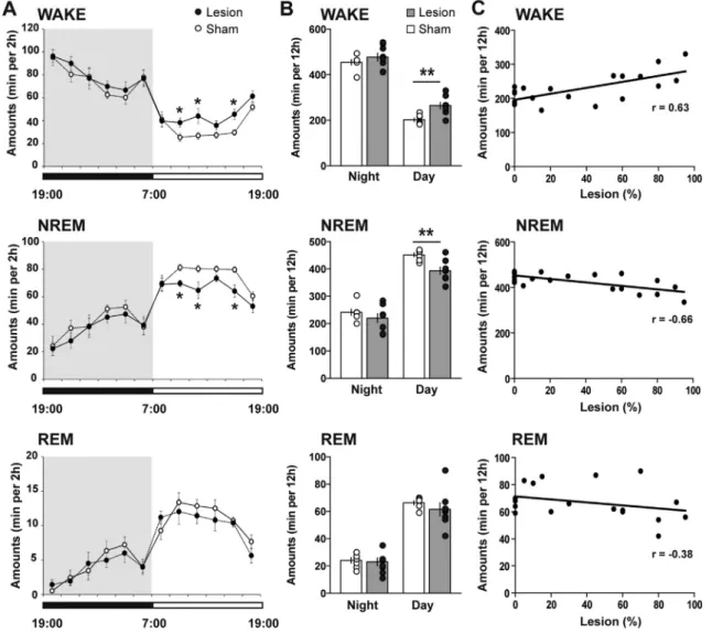 Fig. 3. The effects of DTg bilateral lesion on sleep-wake patterns. A. Sleep-wake states across the light/dark cycle in sham-lesioned (open circles, N ¼ 7) and lesioned (black ﬁlled circles, N ¼ 8) mice