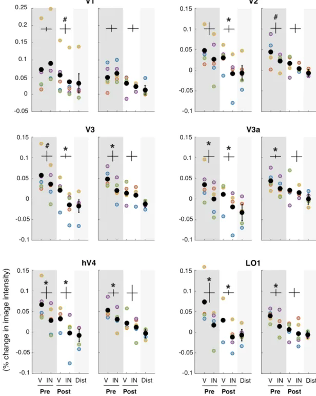 Figure 5.  Specificity of each visual ROI for endogenous and exogenous attention. fMRI response amplitude  was measured for each attentional condition