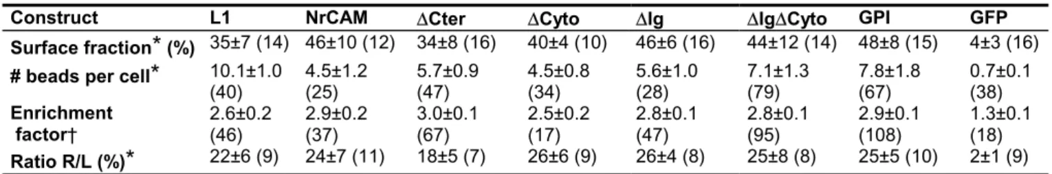 TABLE 1 Surface expression, binding and recruitment of GFP-tagged receptors 