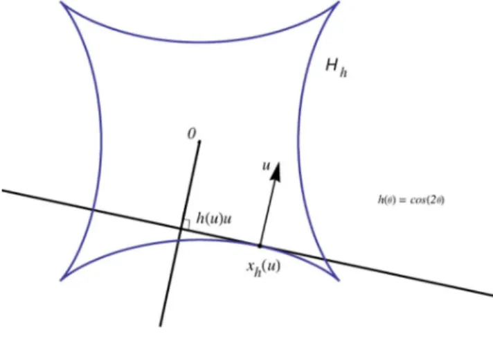 Figure 2. Plane hedgehog with C 2 -support function