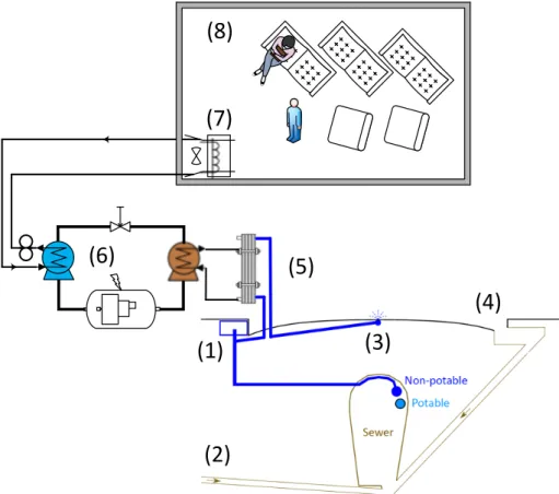 Figure 7. Cross section of street structure with sewer and water mains. The pavement- pavement-watering system could be connected to the non-potable water network