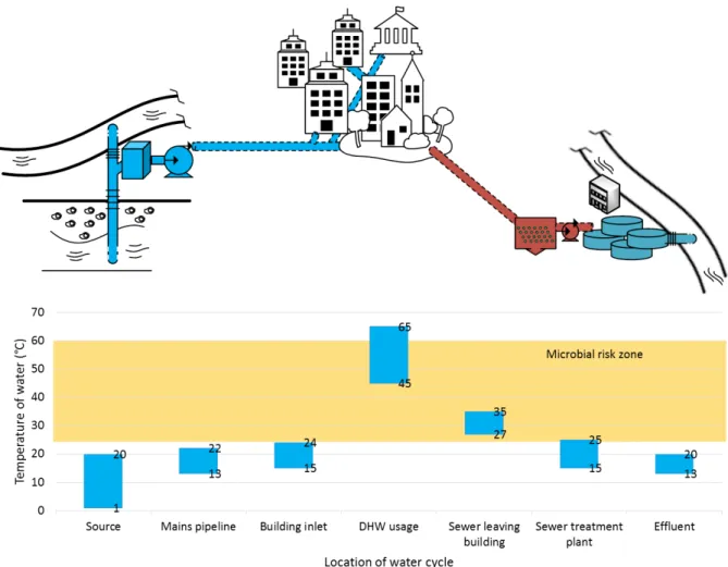 Figure 2. Temperature distribution in water cycle, from drinking water to sewage water  While the flow rate fluctuation feature of water networks could be a difficulty for recovery  projects,  its  application  at  the  district  level  is  less  intermitt