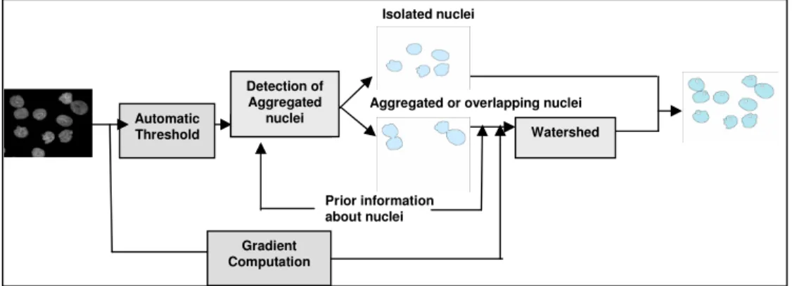 Figure 2. Illustration of the segmentation step 