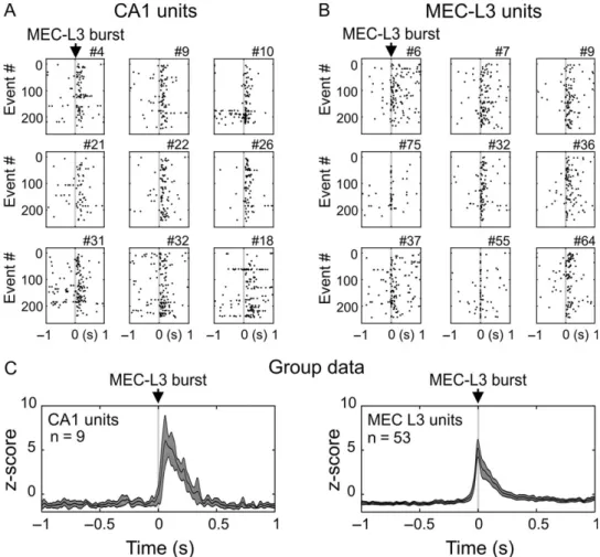 Fig. 5A). This proportion was particularly low in CA3 where it only reached 45.2% as compared to 72.2%, 70% in CA1 and DG and 87.9% in MEC L3, where it was the highest