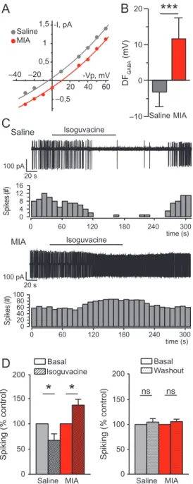 Figure 4. The driving force of GABA remains depolarizing in 2-week-old MIA off- off-spring and is accompanied by excitatory GABA action in CA3 pyramidal  neu-rons