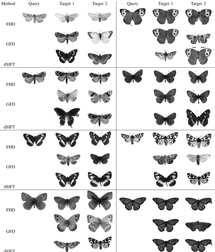 Fig. 5. Eight retrieval results on a 318 butterflies public database, obtained with the different compared descriptors: the proposed F-Histogram Decomposition (FHD), the Generic Fourier Descriptor (GFD) and the dense SIFT descriptor (dSIFT)