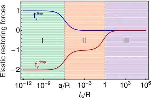 Figure 7: Total elastic force under the contact line ( f y line ) and under the drop ( f y drop ) as a function of the dimensionless parameter l s /R