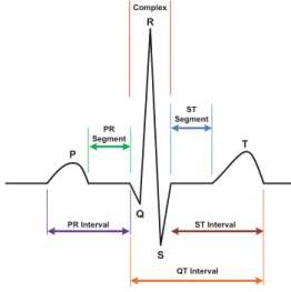 Fig. 1. An ECG heart beat with waves and segments