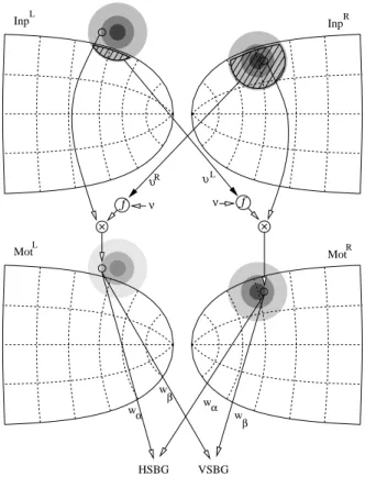 Fig. 2 Gluing method. A single target in the left hemifield but close to the vertical elicits activity in the input layers of both colliculi (Inp R and Inp L )