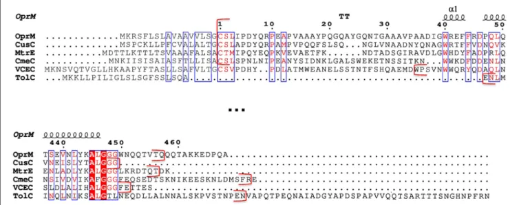 FIGURE 1 | Sequence alignment of the six outer membrane factor (OMF) proteins with known structures